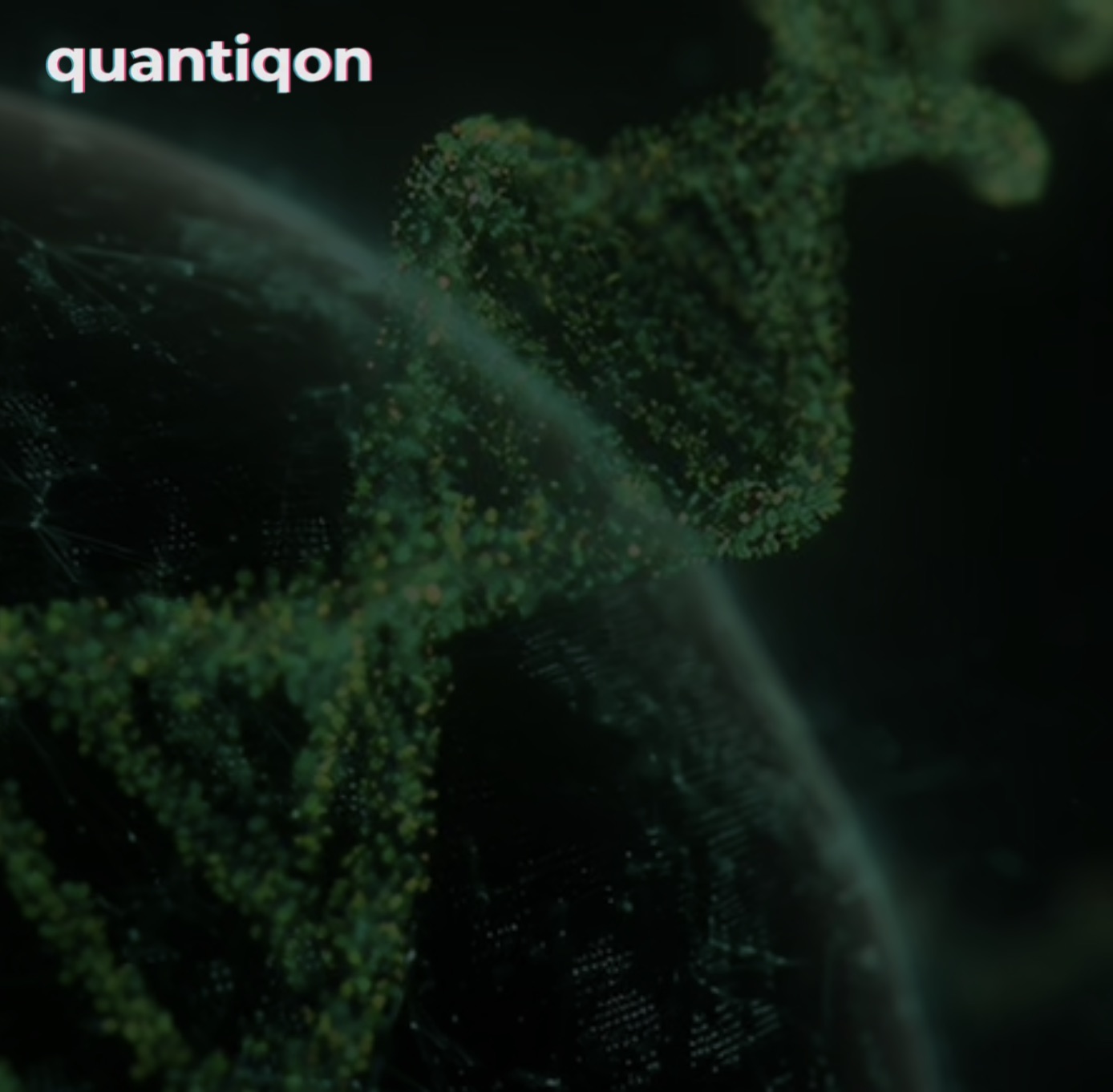 Quantiqon Teknoloji Ltd